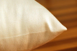 Pillows - Organic Cotton Pillow Encasement