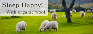 Wool Might Just be the Perfect Fiber