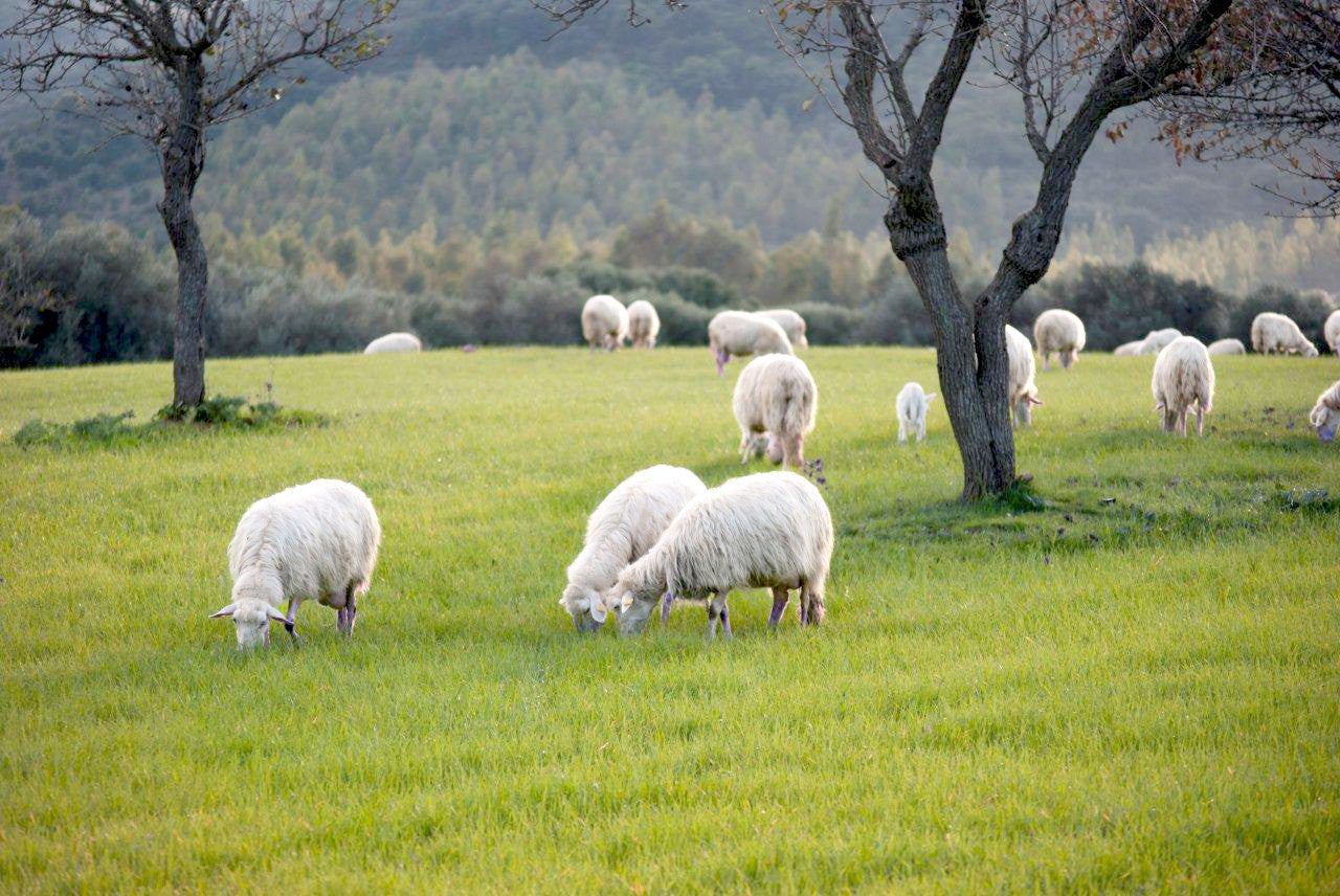 EARTH DAY ~ April 22nd