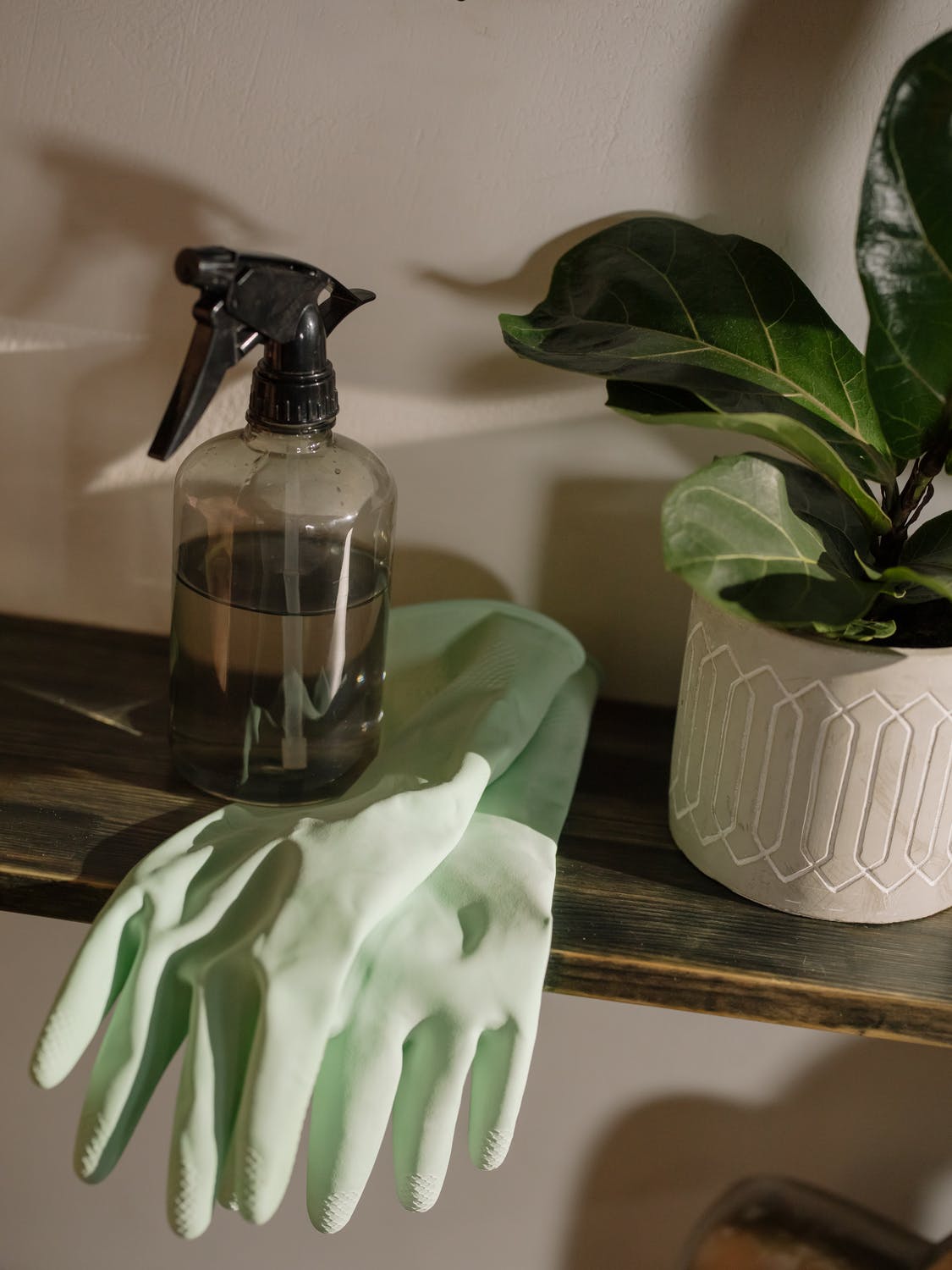 5 Easy Eco-Friendly Tips For Cleaning Your Home