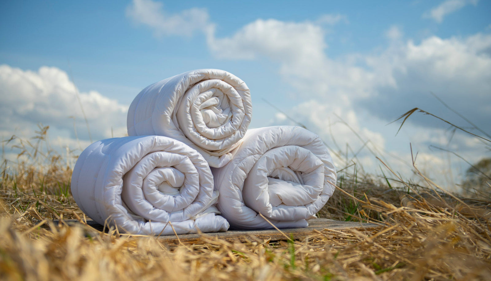 Snug Sleep Snug Sleep Washable Wool Comforter