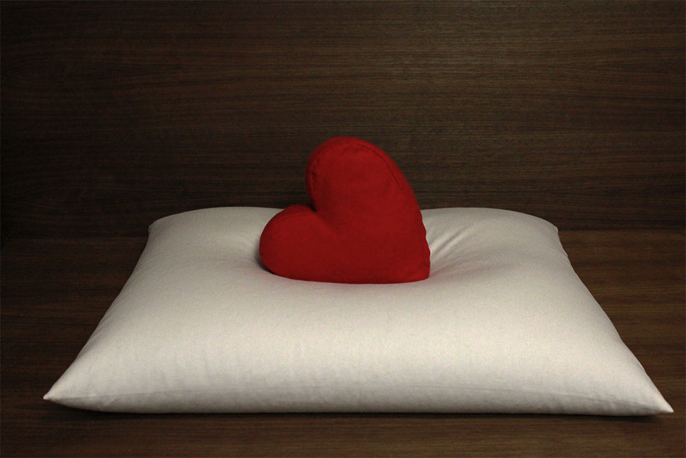 Soaring Heart Natural Beds Buckwheat Hull Pillows