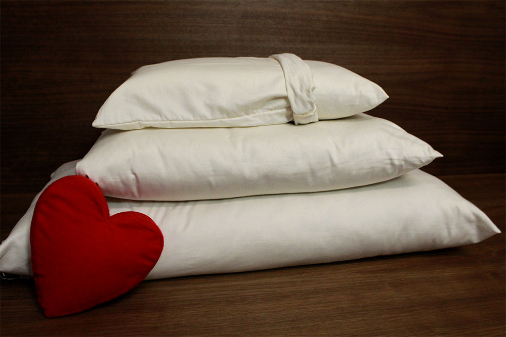 Kapok Pillow Kapok Throw Pillows - 100% Fully Organic - Euro Sizes - Kapok  Pillow – Bean Products