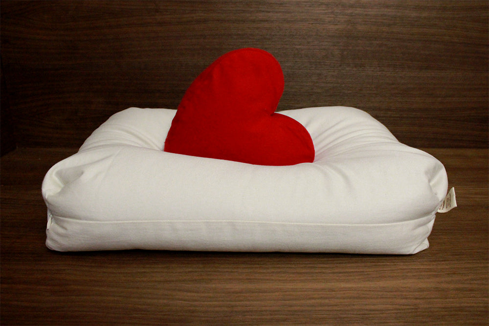 Sachi Organics Millet & Wool Pillow Sachi Organics