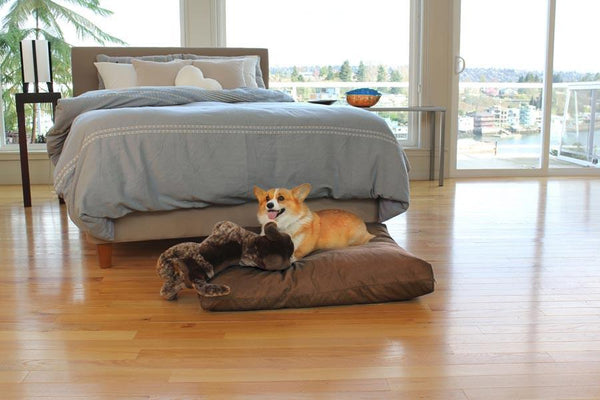 Pillows - Doggie Dreams Organic Dog Bed