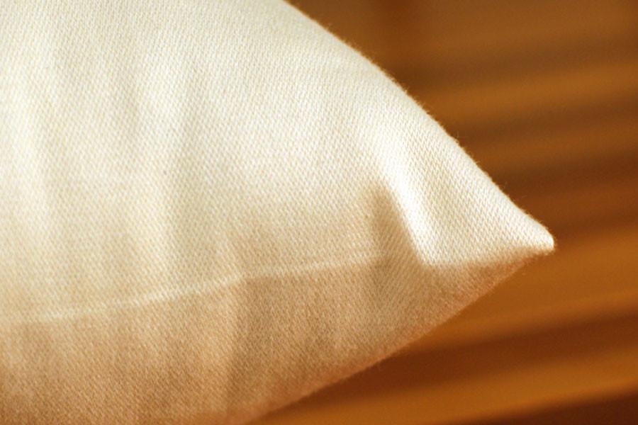 Soaring Heart Natural Beds Organic Cotton Pillow Encasement