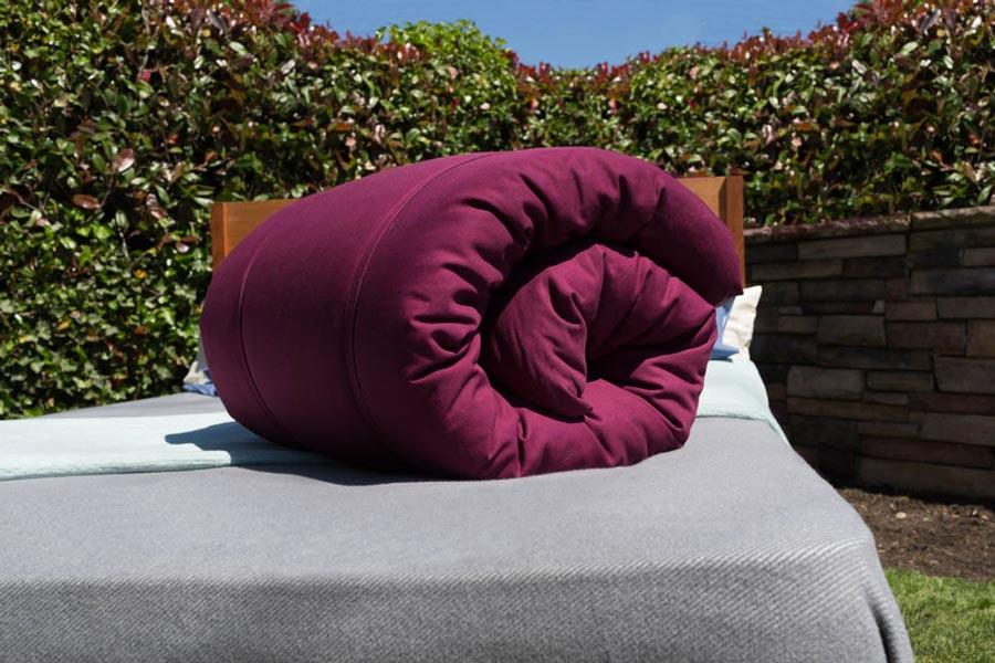 Soaring Heart Natural Beds Organic Bedroll Insert